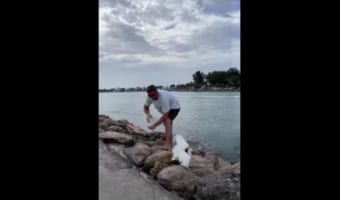 釣り糸にからまっていたサギを助けようとしていた男性。撮影者も協力し、見事な連携で無事救出！