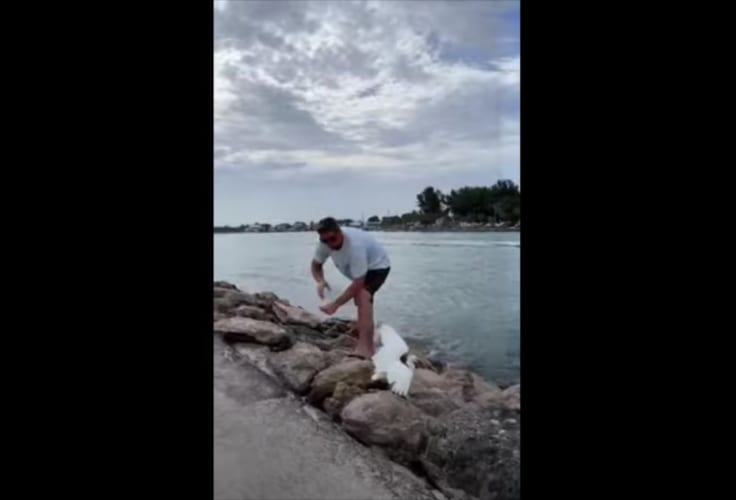 釣り糸にからまっていたサギを助けようとしていた男性。撮影者も協力し、見事な連携で無事救出！