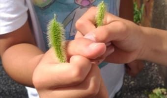 「小学生の頃によくやりました」昔ながらの『とある遊び』を子供たちに教えたら大ウケ！