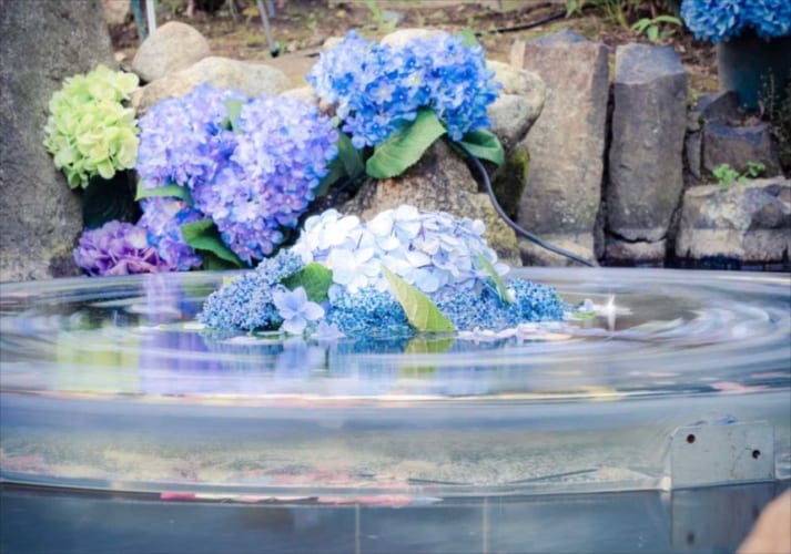 回る花弁に心を奪われた･･･紫陽花と水が織りなす幻想的な世界観を表現した写真に反響