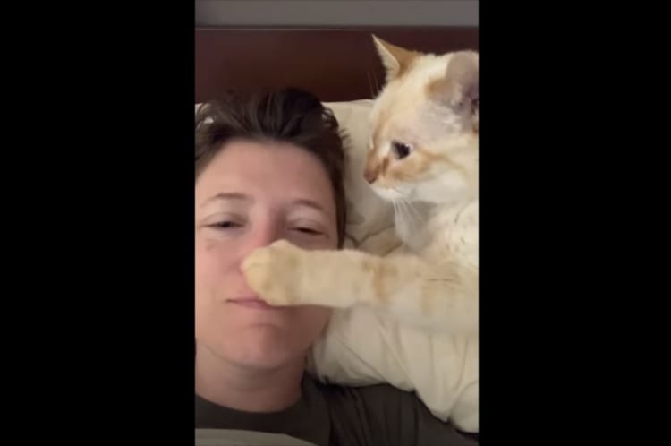 まるで恋人みたい！ 毎朝寄り添って熱い起床の挨拶をしてくれるニャンコ。