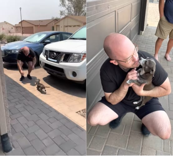 一日千秋の思いとは正にこれ！なんと大好きな飼い主さんに『4日も』会えなかったワンコ、再会に大喜び！！