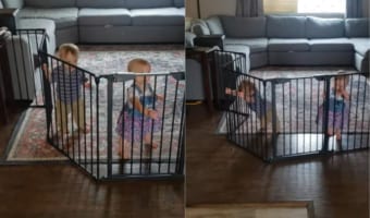 押してダメなら・・・もっと押す！！ベビーゲートを力技で突破する赤ちゃんたち