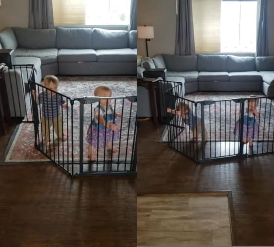 押してダメなら・・・もっと押す！！ベビーゲートを力技で突破する赤ちゃんたち