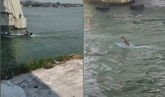 ボートで何かを引っ張っている?ウェイクボードかな?しかしそこには信じられない光景が!