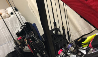 【釣り】「アジング」に必要なタックルとは??迷わない選び方と種類を解説します!!