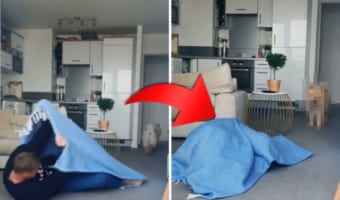 【愛犬ドッキリ】「あれれ？どこ行ったの？」飼い主さんが突然姿を消したことに困惑するチャウチャウの様子がかわいい！