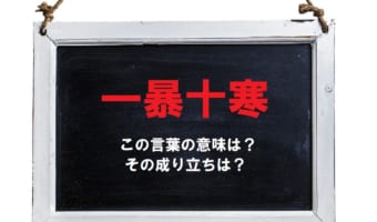 気を抜くなよと戒めとして使う「一暴十寒」とはどんな意味の言葉?その由来は?