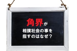 相撲社会の事を「角界」ともいうのはなぜ？その理由は相撲の別表記から！