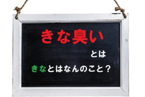 怪しい雰囲気の意味で用いられる「きな臭い」、何が臭うの？「きな」とはなんのこと？