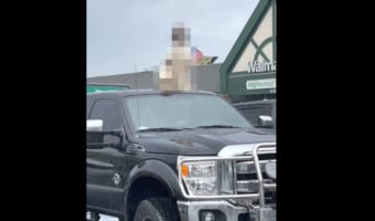 車の上にオブジェでも乗っている？と思って近寄ったら・・・車の上になんと！！