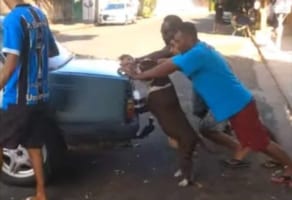 中に人間が入ってる？？ 車を押すのを手伝いはたらくイヌがまるで人間みたい