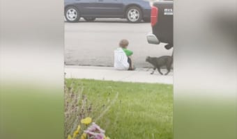男の子が悲しんでいることに気づいたネコ。その後にとった行動に胸を打たれる