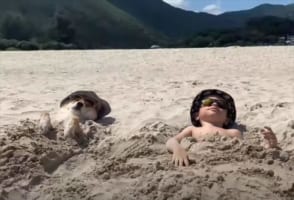 いつも一緒のふたりはベストフレンド！ビーチを満喫する微笑ましい1日【海外・動画】