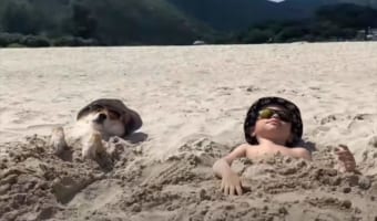 いつも一緒のふたりはベストフレンド!ビーチを一日中満喫する様子が微笑ましい