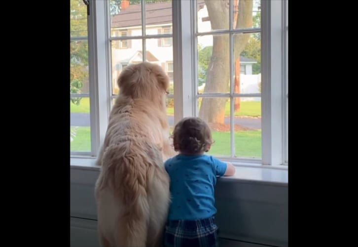 その背中からストーリーを感じる・・・。ワンコと子どもが一緒に窓から外を眺める様子がまるで兄弟のよう