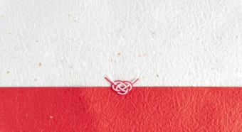 贈答品に付けられる「のし紙」にはどんな意味があるの？種類はいくつかあるものなの？