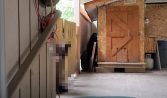 怖すぎる!チキンスープのにおいをかぎつけやって来たのは・・・とんでもなく巨大な動物だった!!