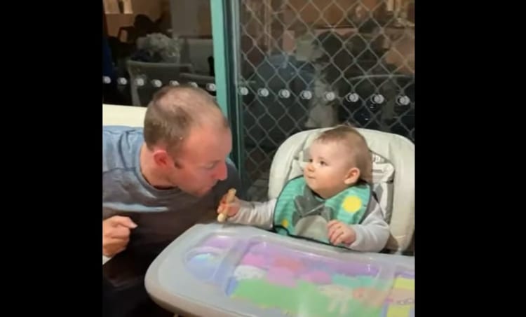 パパが赤ちゃんのおやつを食べるふり！赤ちゃんは「絶対食べられたくない」と素早い反応をする姿がおもしろかわいい