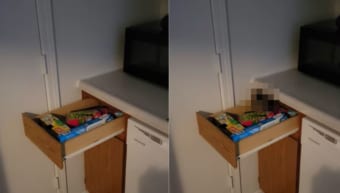 誰もいない机の引き出しがひとりでに開いたと思ったら・・・【幽霊の正体見たり子猫かな】