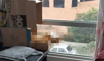 これはビビる!死んでるかと思ったよ。。。仰向けで口を開けたまま倒れているネコに飼い主さんが話しかけると・・・