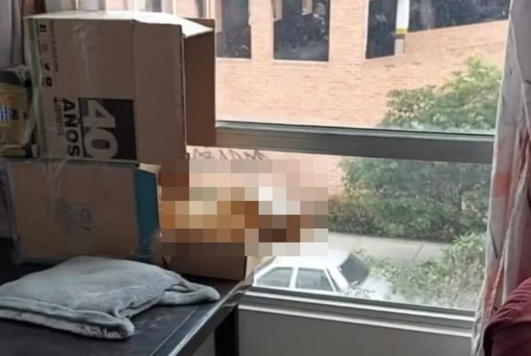 これはビビる！死んでるかと思ったよ。。。仰向けで口を開けたまま倒れているネコに飼い主さんが話しかけると・・・