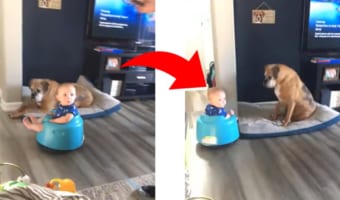 ロボット掃除機に興味津々の赤ちゃん。そこでベビーチェアごとロボット掃除機の上にドッキングさせてみたところ・・・