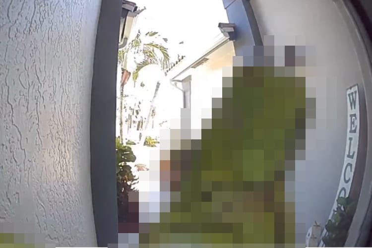 玄関のカメラが捉えた珍客！家主が思わず飛び上がって叫んだその相手とは？