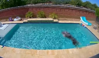 「ヒャッホー!!」飼い主不在のプールで愛犬がどう過ごすかカメラで観察してみたら・・・