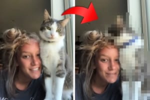 愛猫のことを紹介する動画を撮影したかったのに・・・。愛猫の思わぬ行動に笑ってしまう飼い主さんでした