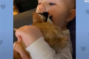 赤ちゃんと子猫の成長記。1ヶ月違いで生まれてきたふたりは、いつも一緒の仲良しきょうだいになりました