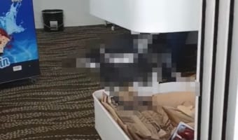 「いらっしゃいませ~」コーヒーショップに、とってもかわいいお手伝いさんが姿を現しました