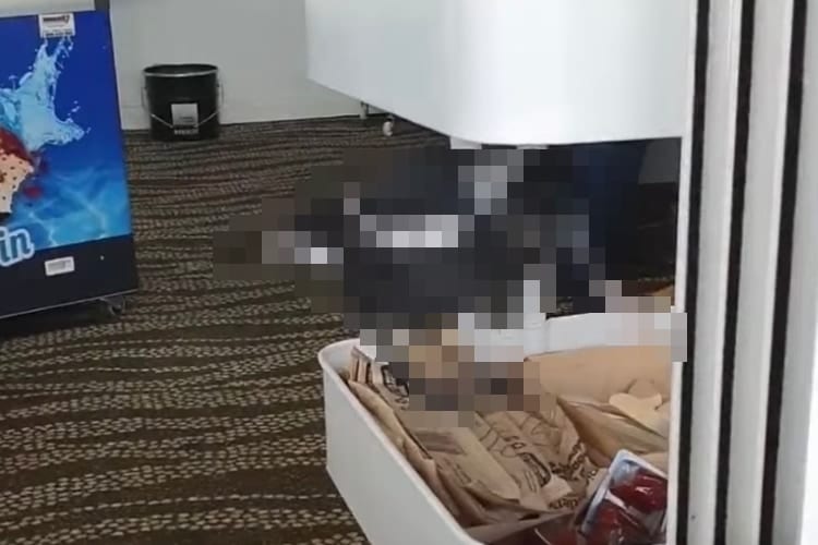 「いらっしゃいませ～」コーヒーショップに、とってもかわいいお手伝いさんが姿を現しました