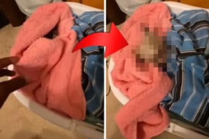 愛犬を起こす飼い主さん。しかし、朝が苦手な愛犬からしこたま怒られてしまいました！