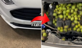 レッカーされた車のボンネットを開けたら・・・リスが大量の○○○を詰め込んでいました!