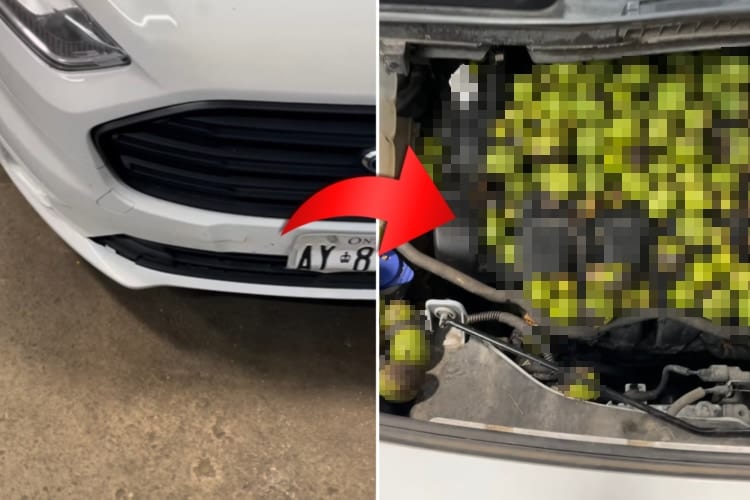 レッカーされた車のボンネットを開けたら・・・リスが大量の○○○を詰め込んでいました！