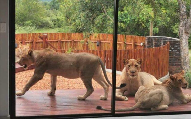 「戦慄が走る･･･」「脱力感が･･･」“呆然としてしまう瞬間”をとらえた数々の写真