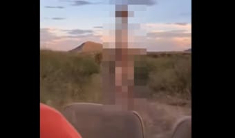 アフリカでサファリツアーを堪能していた観光客。彼らを穏やかなイメージのある動物が襲い掛かってきました!!