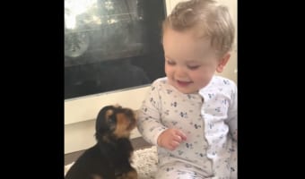 ずっと見ていられるわぁ。赤ちゃんと子犬の初めましての様子がかわいすぎる!!【動画・海外】