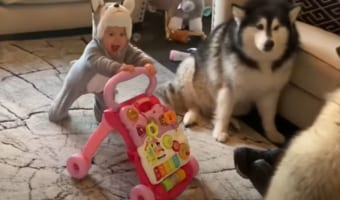 【まるで親のよう】赤ちゃんの誕生を心待ちにしていた愛犬は親心が芽生えたようです