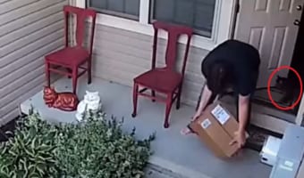 「そんニャまさか!」飼い主さんが気づかないタイミングで外に出てしまったネコ。思いがけず締め出しを食らってしまい・・・