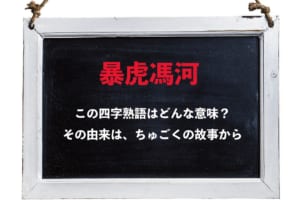 「暴虎馮河」とはどんな人を指す言葉？その意味や由来、類義語は？