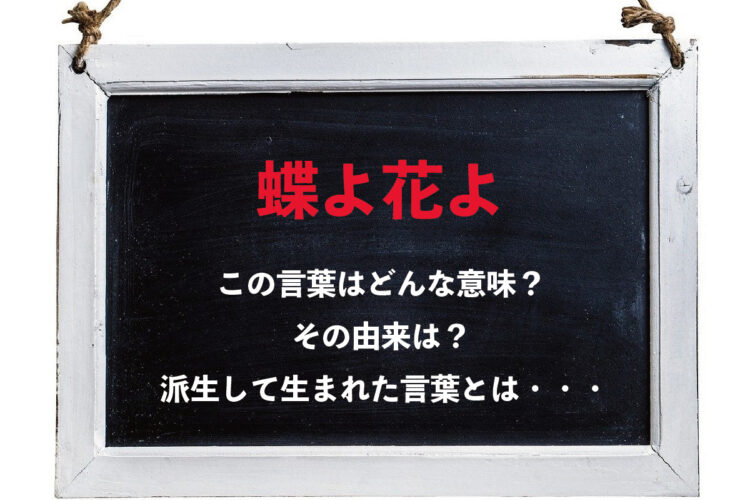 「蝶よ花よ」とはどんな状況で使う言葉？派生した日常の言葉があるってホント？