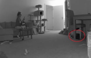 椅子の下にいた愛猫を撮影しようとしたら・・・飼い主さんのそんな思惑を飛び越える行動を見せました！