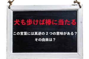 ことわざ「犬も歩けば棒に当たる」には2つの意味があるって知ってた？しかもその2つは真逆の意味なんです！！
