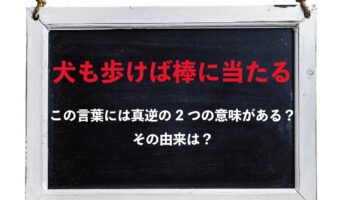 ことわざ「犬も歩けば棒に当たる」には2つの意味があるって知ってた？しかもその2つは真逆の意味なんです！！
