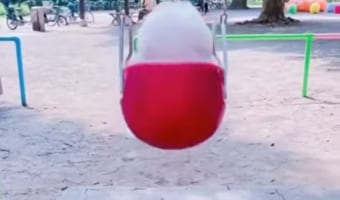 もこもこの服を着た子供かと思ったら!ブランコで楽し気に遊んでいたのは、なんと・・・!!