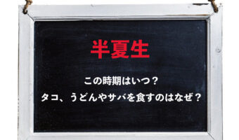 7月にある「半夏生」とはどんな時期？この時なぜ「タコ」や「うどん」「サバ」を食べるの？