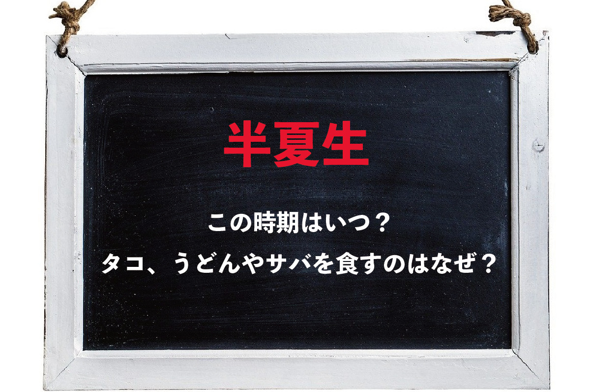 7月にある「半夏生」とはどんな時期？この時なぜ「タコ」や「うどん」「サバ」を食べるの？