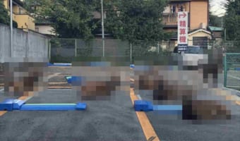 【さすが奈良】駐車場にとまるのは車だけじゃない?!なんと奈良を代表する『あの動物』のためのスペースになっていました!!